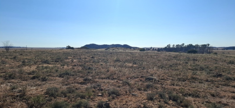  Bedroom Property for Sale in Bloemfontein Rural Free State
